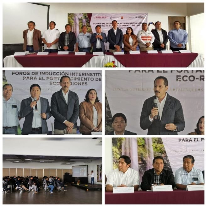 Se lleva a cabo el 4&ordm; Foro de Inducci&oacute;n Interinstitucional para las Eco-Regiones en SCLC