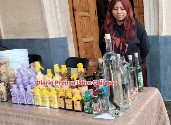 Comercializan mezcal con serpientes, escorpiones y tar&aacute;ntulas en SCLC