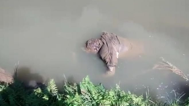HALLAN CUERPO SIN VIDA FLOTANDO EN UN RÍO DE SAN CRISTÓBAL