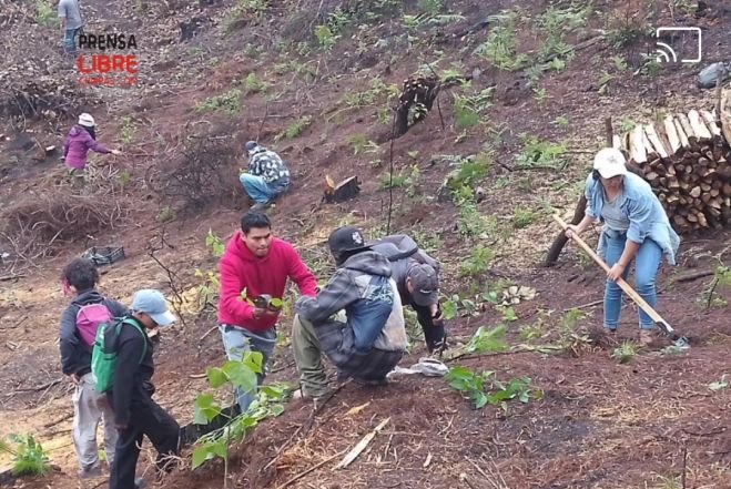Más voluntarios se suman en la Campaña de Reforestación
