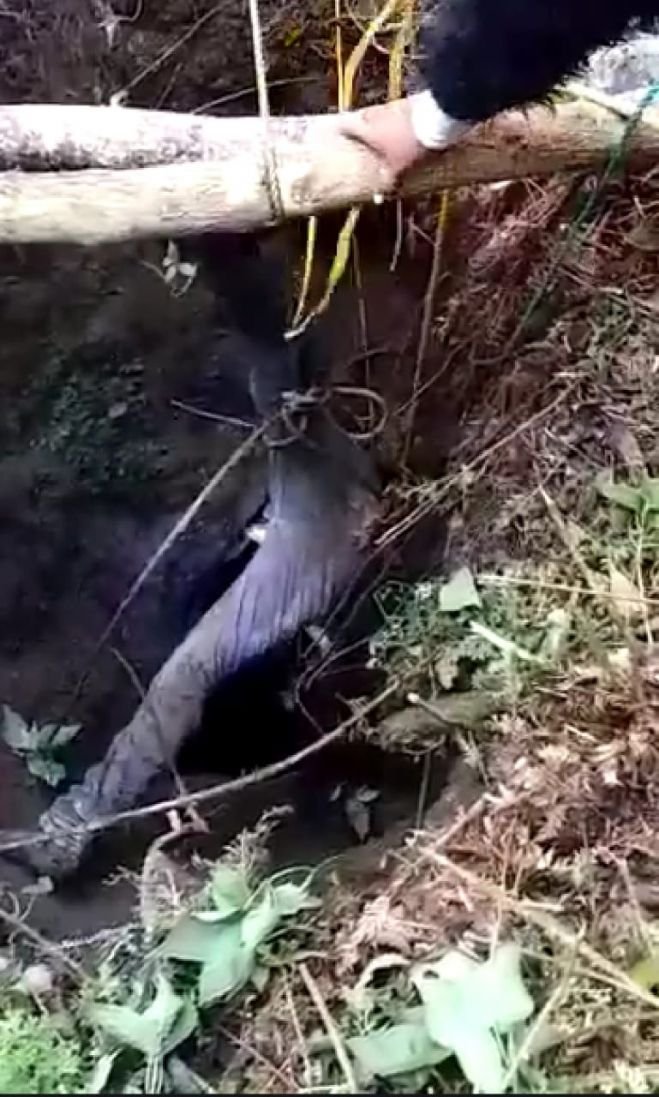 Rescatan de una cueva el cuerpo sin vida de un joven en Chamula