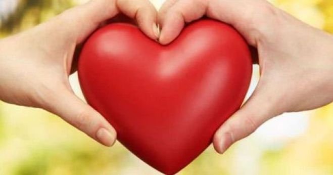 Honremos los vínculos afectivos   en este día del amor y la amistad 