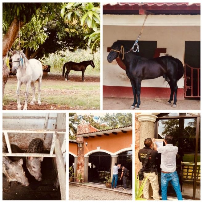 Catea Fiscal&iacute;a diversos inmuebles en el municipio de Mazat&aacute;n