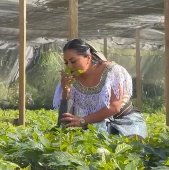 Eduardo Ramírez pone en marcha el programa más ambicioso para la cafeticultura en Chiapas