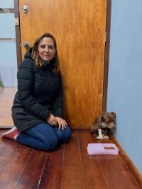 El cachorro presenta mucho miedo debido a la violencia que habr&iacute;a sufrido