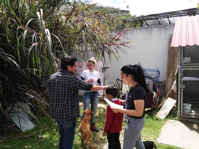 Feria de Adopción de Perros en el Cecam