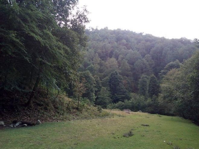 Insisten en invadir la reserva ecológica Quemvo Cuxtitali en San Cristóbal